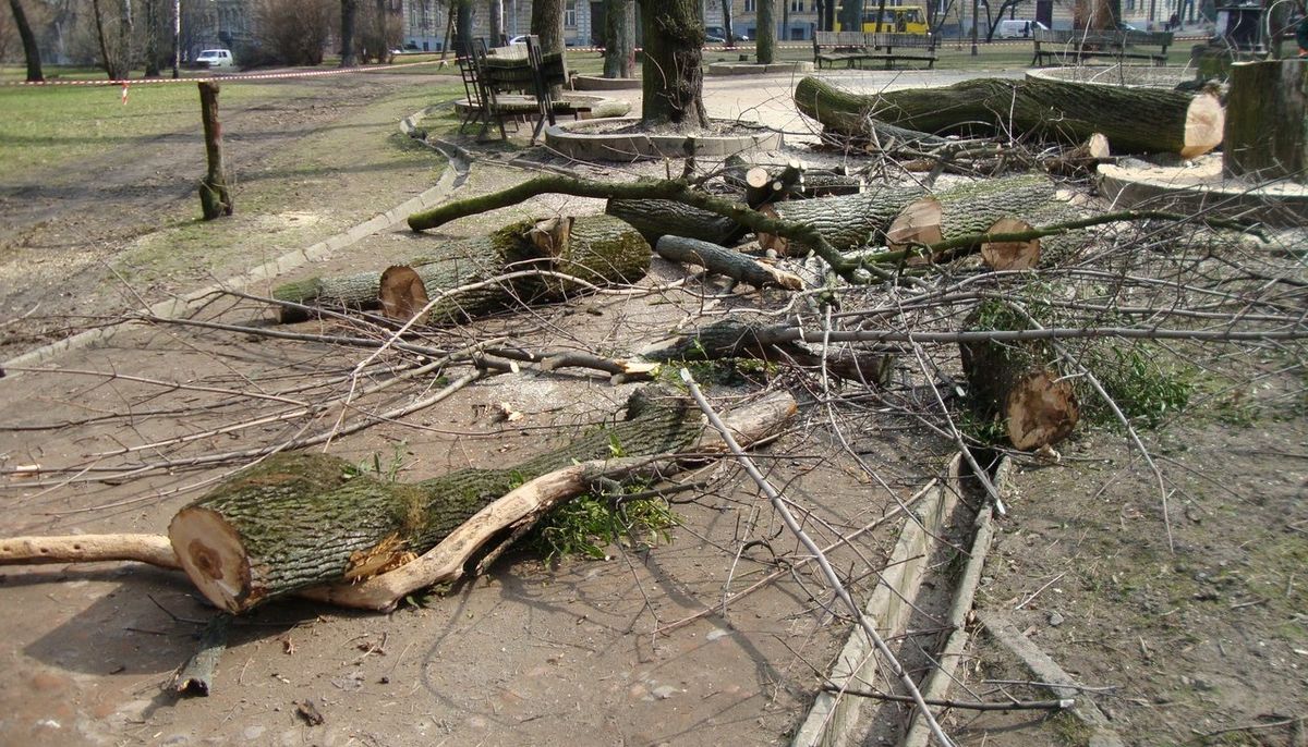 Львівська мерія відновить роботи у сквері на площі Св. Юра