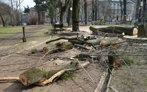 Захисники скверу Святого Юра у Львові підписали мирову угоду з мерією