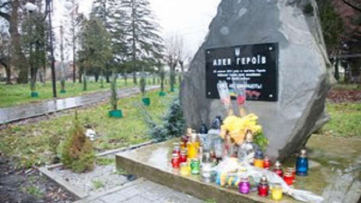 У Жидачеві підліток вкрав п’ять дерев із Алеї Героїв Небесної сотні 