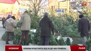 Цього року у Львові новорічні ялинки дорожчі, ніж торік