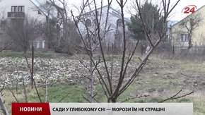 На Львівщину насуваються холоди