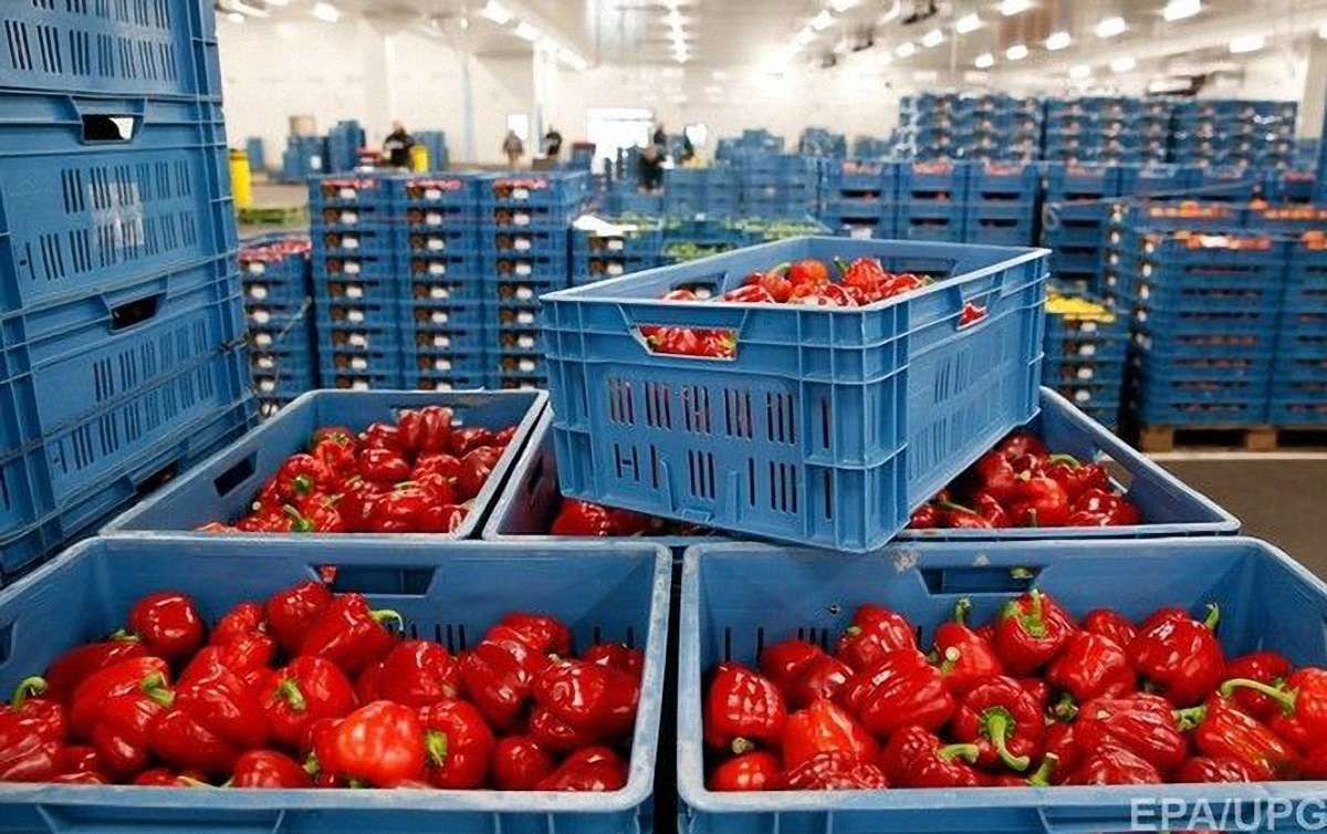 Україна офіційно вводить ембарго на ряд товарів з Росії