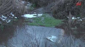 У водойму біля Львова потрапили гудрони