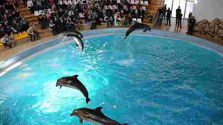 Держекоінспекція вимагає конфіскувати дельфінів трускавецького дельфінарію