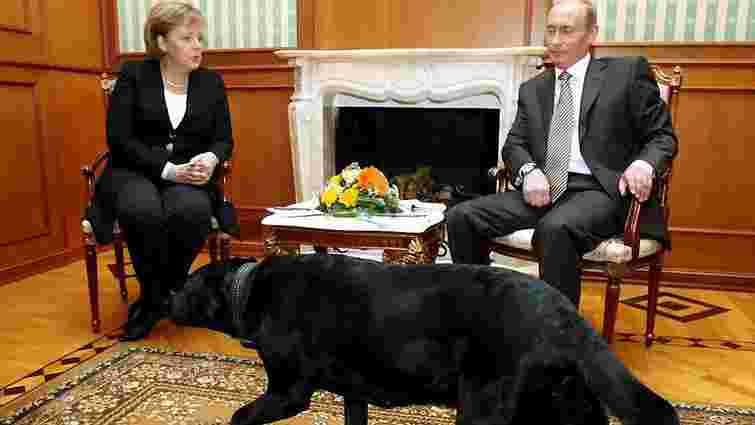 Bild викрив брехню Путіна про собаку і Меркель