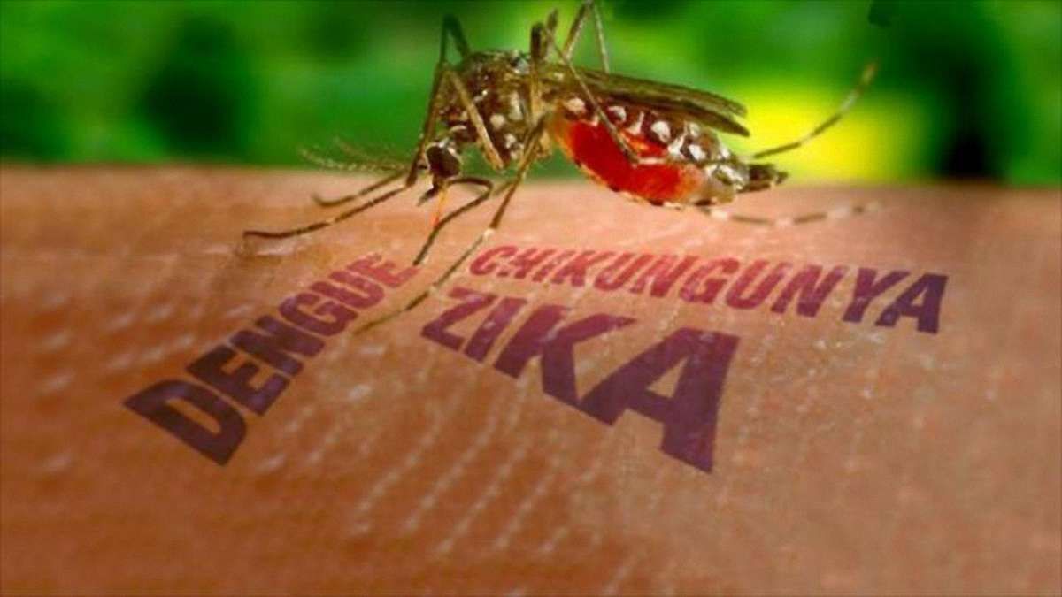 В Колумбії понад 20 тис. людей заразились вірусом Зіка