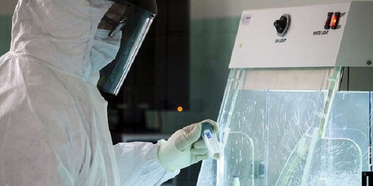 У Британії вченим дозволили генетично модифікувати людські ембріони