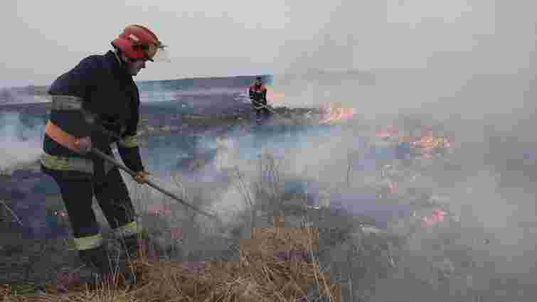 Рятувальники Львівщини за добу ліквідували п'ять пожеж в екосистемах