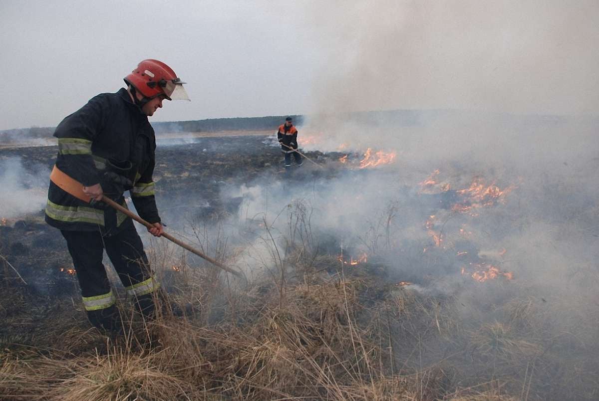 Рятувальники Львівщини за добу ліквідували п'ять пожеж в екосистемах