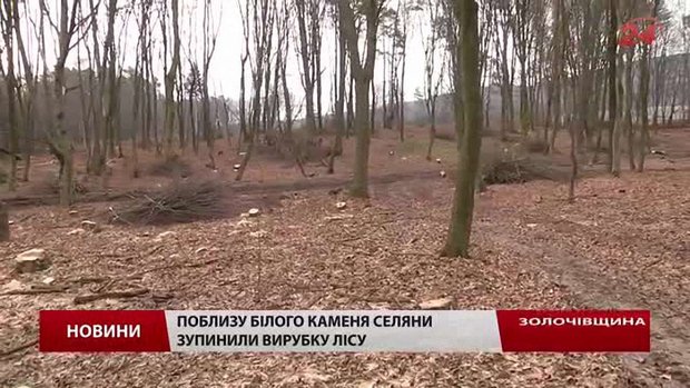На Золочівщині селяни зупинили варварську вирубку лісу