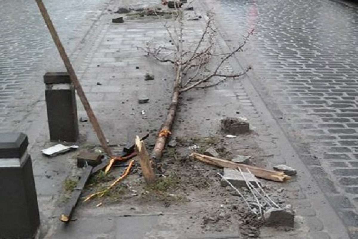 Автомобілем, який зламав дерева на Городоцькій, керував слідчий поліції