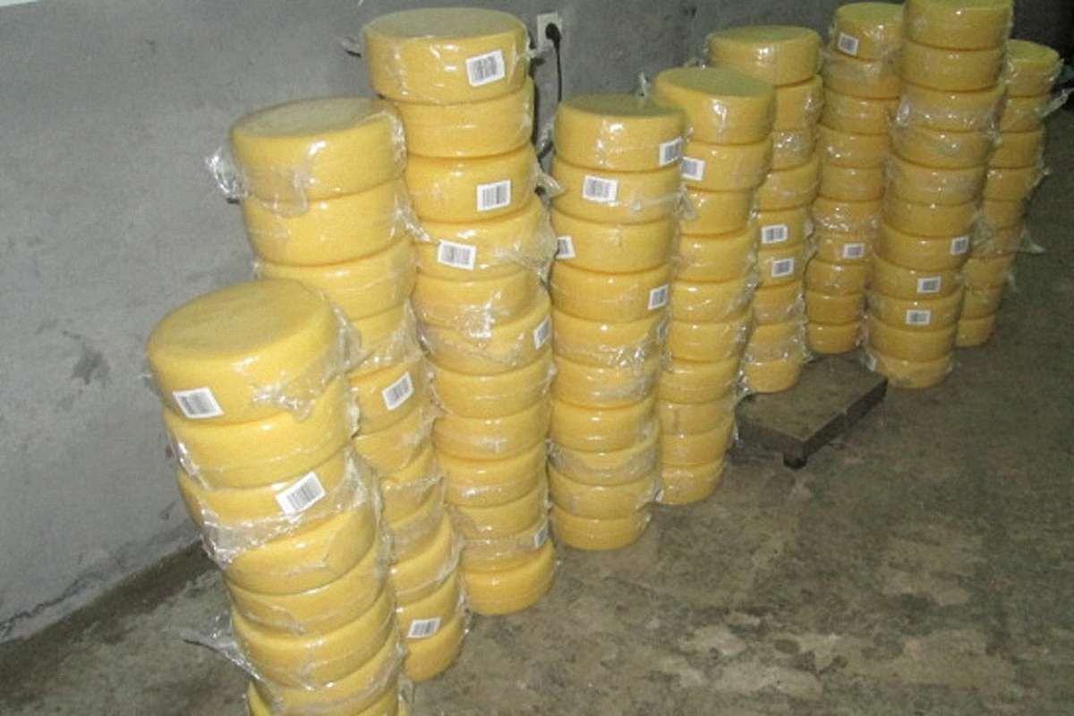 Митники вилучили у львів’янина майже півтонни контрабандного сиру