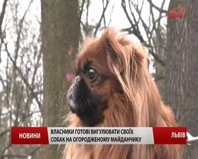 У Львові буде мережа майданчиків для собак