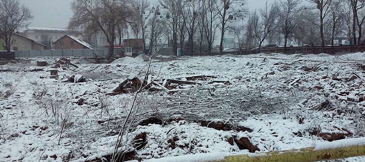 У Львові самочинно зрізали 220 дерев
