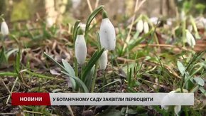 У львівському ботанічному саду весна вже настала