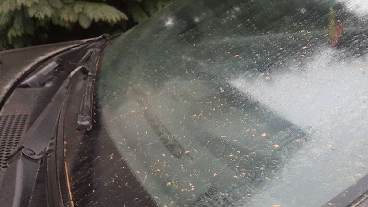 Синоптики пояснили причини оранжевого дощу у Львові