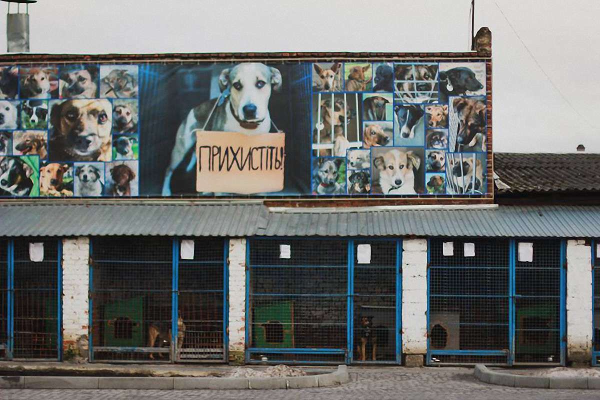 ЛКП «Лев» отримало нового директора