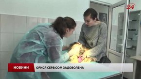 ЛКП «Лев» заробляє на домашніх тваринах для допомоги безпритульним
