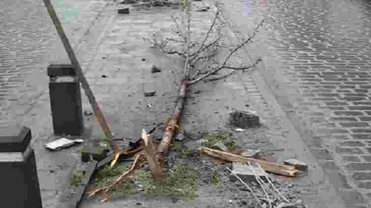 Слідчого, який зламав дерева на вул. Городоцькій, звільнили з поліції