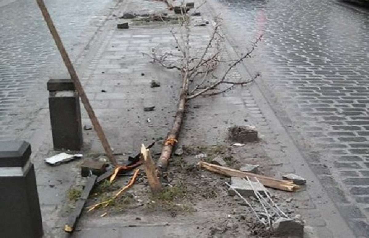 Слідчого, який зламав дерева на вул. Городоцькій, звільнили з поліції