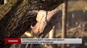 «Культурні» галичани на узбіччях доріг Львівщини влаштували сміттєзвалища