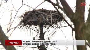 Відзавтра на Львівщині чекають повернення лелек