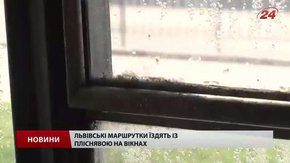 Пліснява у львівських маршрутках загрожує здоров’ю пасажирів