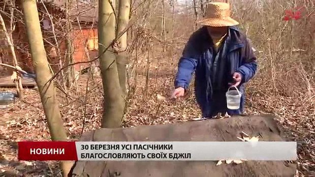 У середу стартує новий бджолиний рік