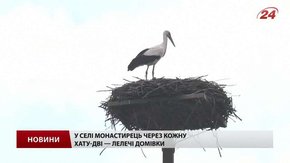 На Львівщині енергетики зводять платформи для лелечих гнізд