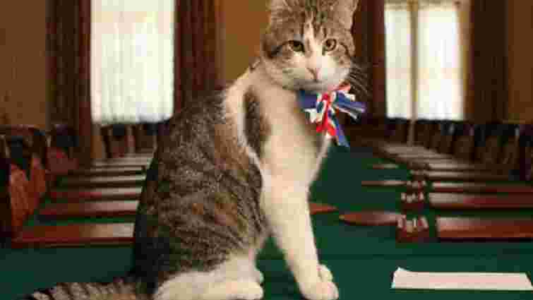 В МЗС Великобританії на роботу прийняли кота