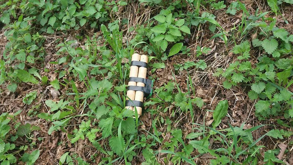 Біля Парку культури у Львові виявили муляж вибухівки