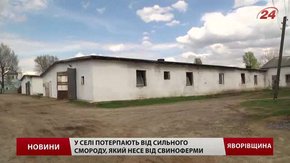 Через сморід від свиноферми селяни на Львівщині організували свій майдан