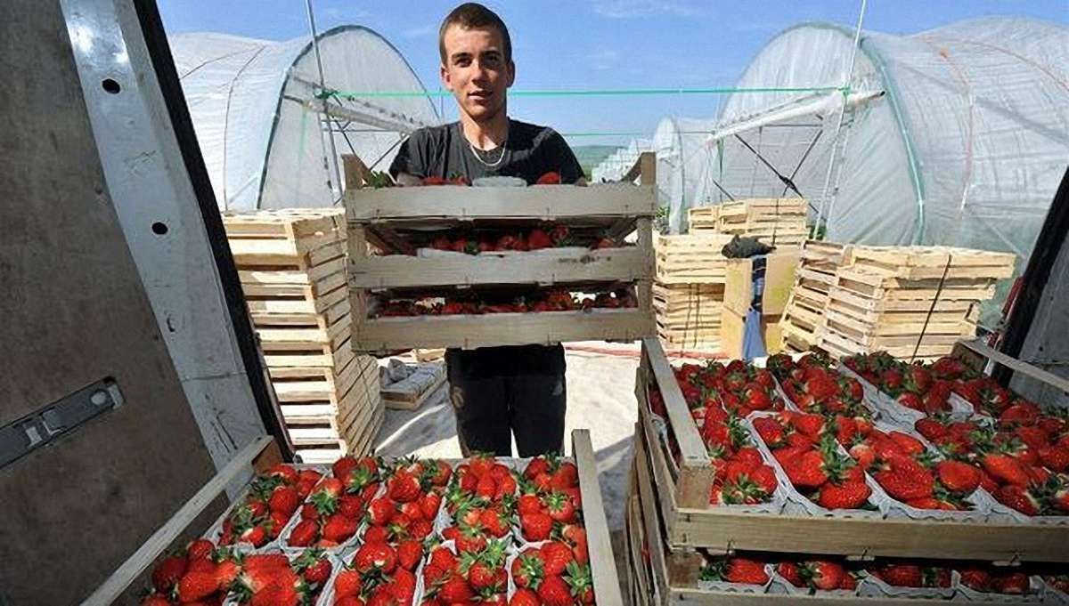 У 2015 році українці заробили в Польщі ₴54 млрд