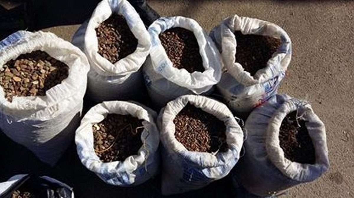 У Рівному викрили підпільні цехи з обробки бурштину