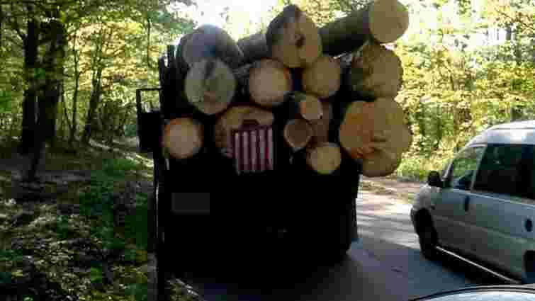 Під Львовом затримали п’яного водія вантажівки з незаконно зрізаною деревиною