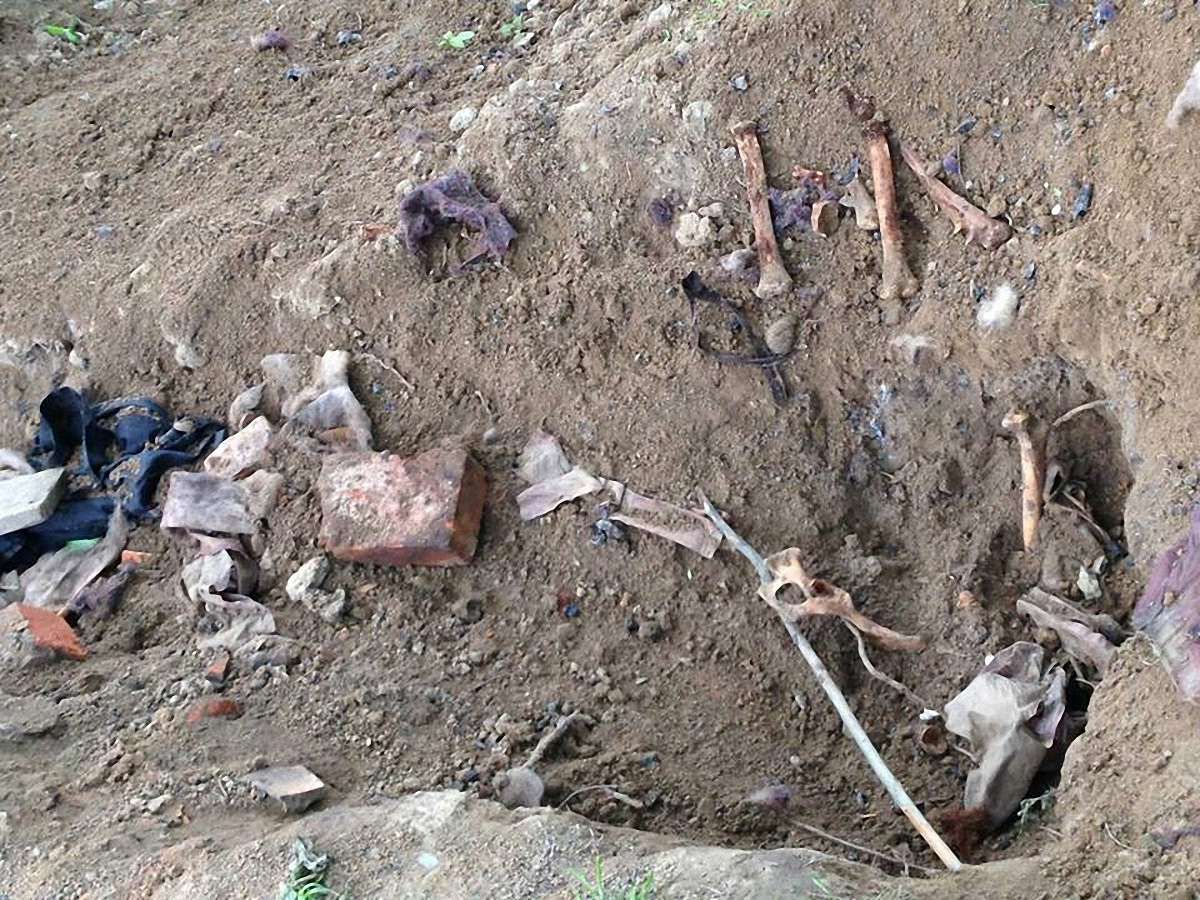 Біля школи у Львові собака вирив кістки, схожі на людські