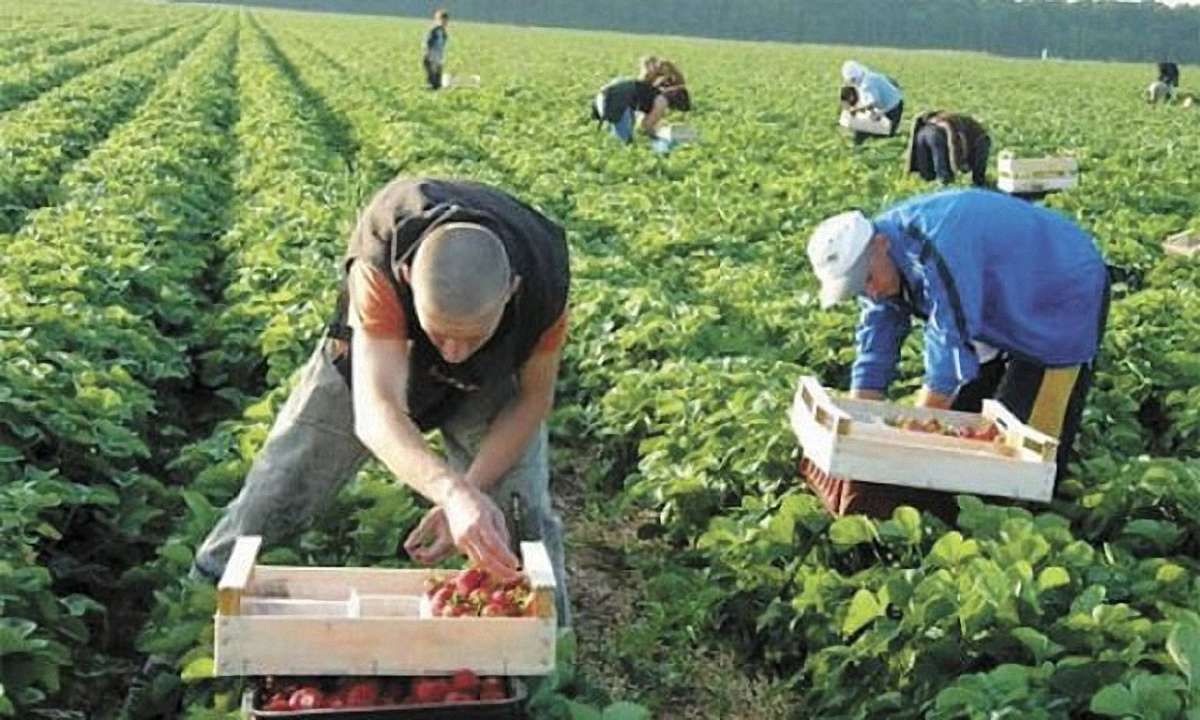 Українцям у Польщі платитимуть за працю на рівні з поляками