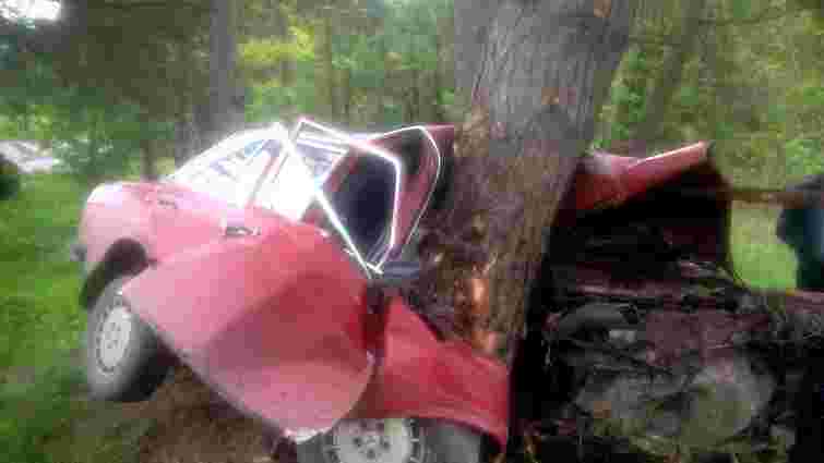 У Бірках львів'янин вщент розбив автомобіль об дерево