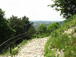 Львів’ян закликають впродовж тижня не відвідувати міських парків