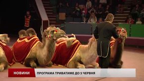 У львівському цирку показали  нову програму «Караван удачі»