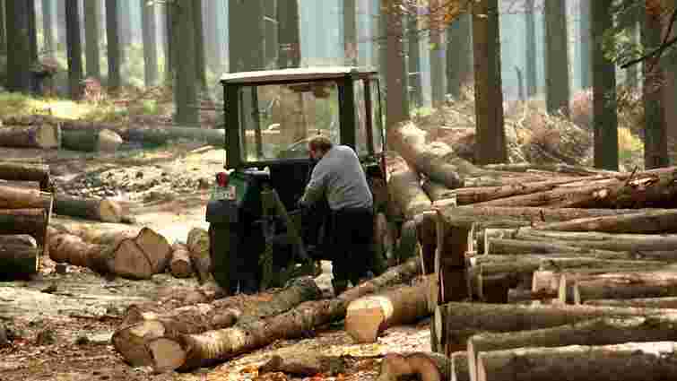 Усі працівники лісгоспу у Золочівському районі звільнились з роботи напередодні перевірки