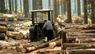 Усі працівники лісгоспу у Золочівському районі звільнились з роботи напередодні перевірки
