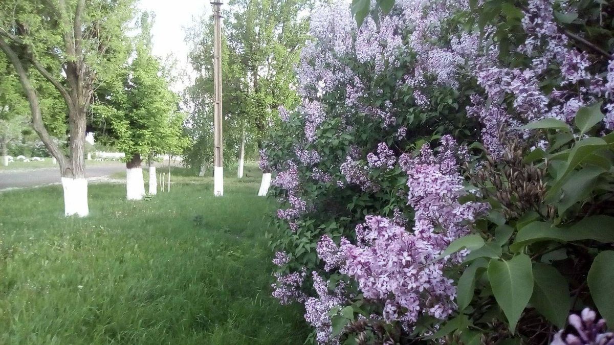 Моя перша поїздка на Схід