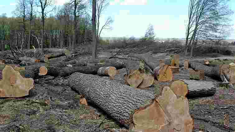 Кабмін ввів тимчасову заборону на санітарну вирубку лісу