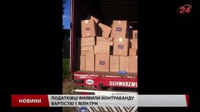Львівські митники вилучили контрабандних товарів на ₴1 млн