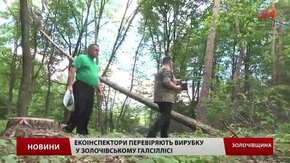 Екоінспектори з’ясували, чому звільнились працівники золочівського «Галсільлісу»