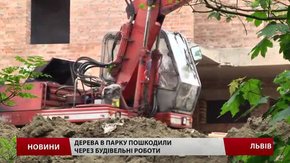 У львівському парку «Горіховий гай» будівельники пошкодили 20 дерев