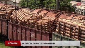 У Ходорові досі блокують товарняки з лісом через підозру міжнародної контрабанди