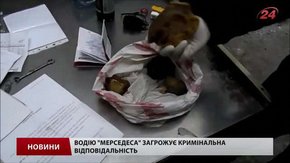 У Шегинях вилучили контрабандний бурштин та марихуану