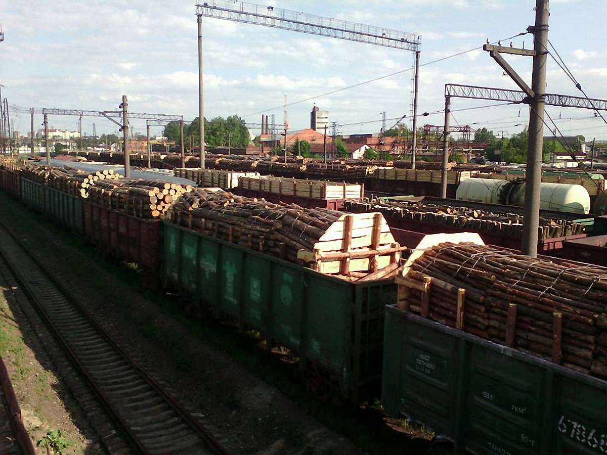 Громадські активісти заблокували у Львові майже 200 вагонів з деревиною